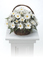 Flower Baskets
